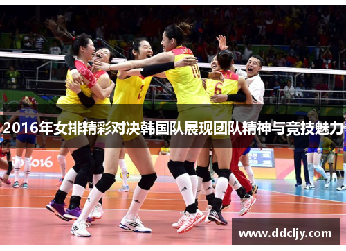 2016年女排精彩对决韩国队展现团队精神与竞技魅力